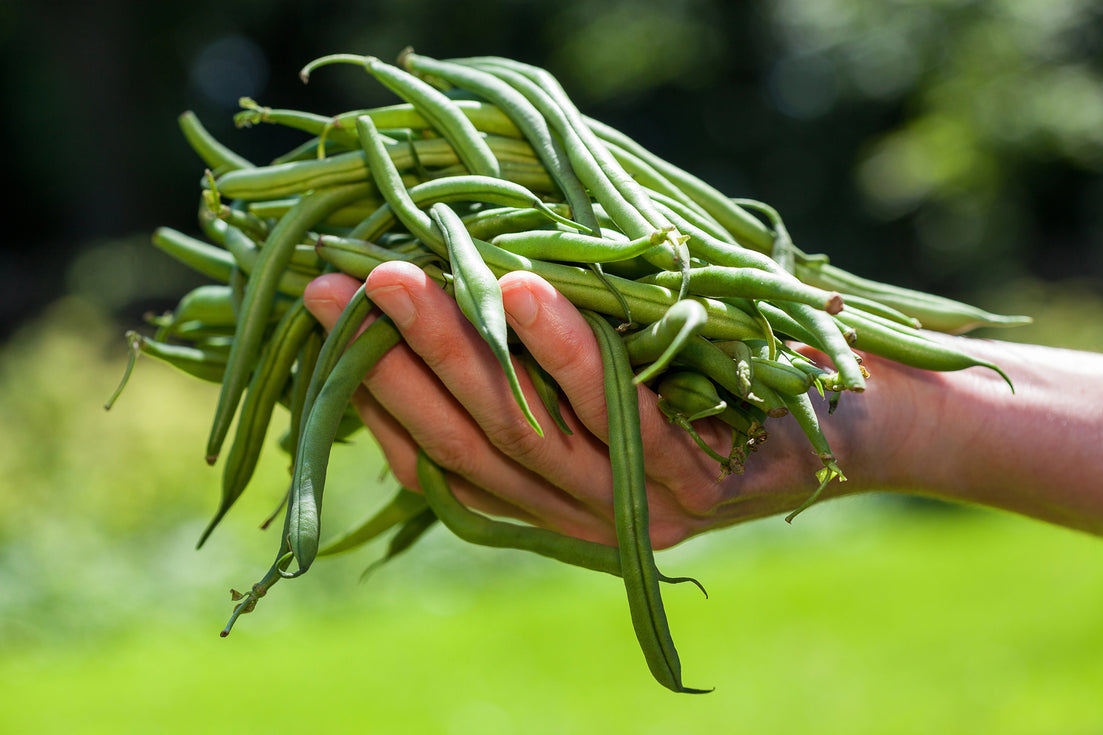 The Surprising Connection Between String Beans and Diabetes.